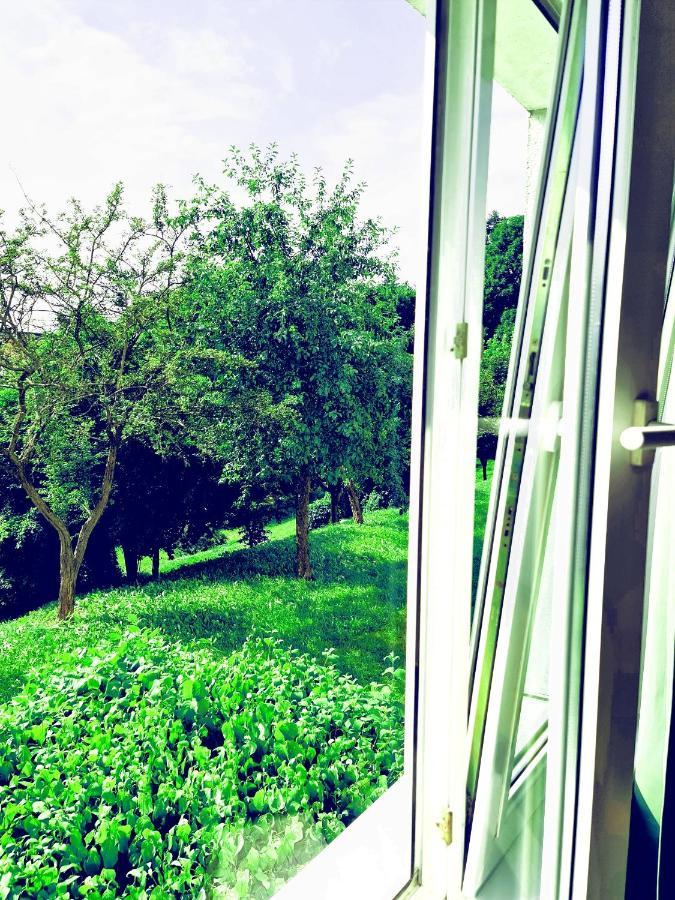 Apartament Parkowy Mragowo Apartman Kültér fotó